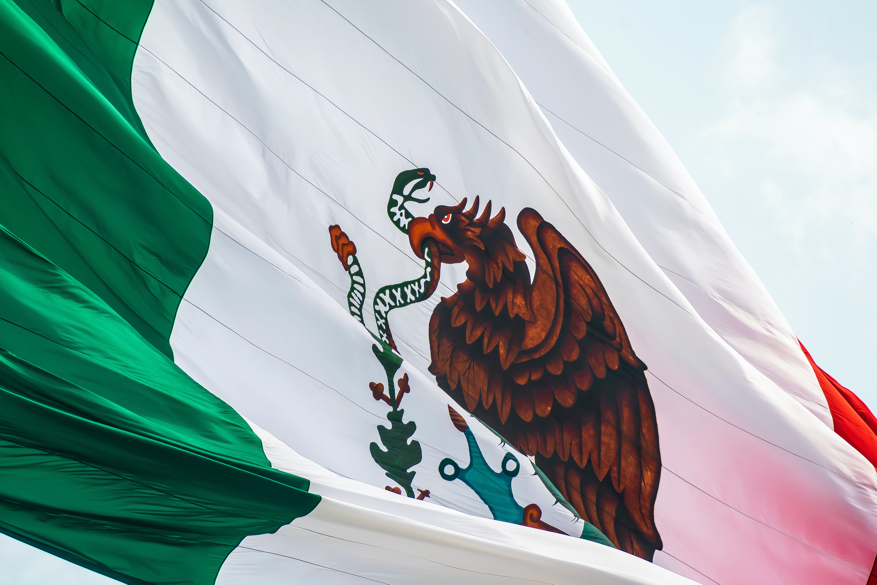 The flag of Mexico waving in the wind.