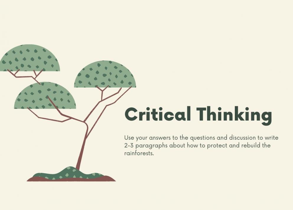 Use your answers to the questions and discussion to write 2-3 paragraphs about how to protect and rebuild the rainforests. 